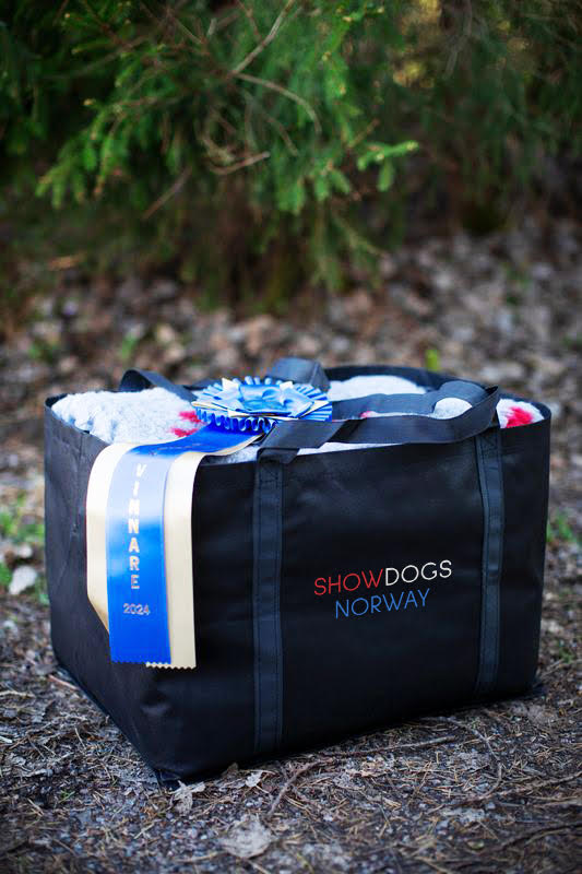 All-in Bag "Nordic"